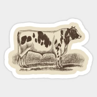 Holstein Bull Vintage Illustration Sticker